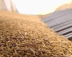 Казахстан: В январе на ЕТС было продано на 45% меньше зерна, чем в декабре прошлого года