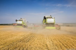 Казахстан: В четверг, 3 ноября, на ЕТС была продана пшеница 4 класса и ячмень 2 класса