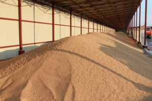 К началу года запасы зерна в России составляли 32,6 млн. тонн - Росстат
