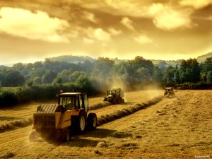 Будущий урожай зерна на треть зависит от техники и технологий
