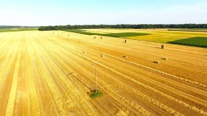 Минсельхоз России: кредитование сезонных полевых работ выросло на 17,7%