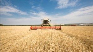 Австралийская пшеница теряет рынки сбыта