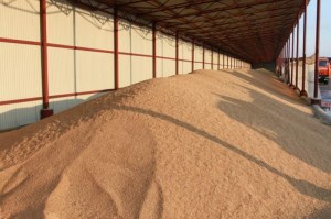 Мощности по хранению могут оказать воздействие на ситуацию на российском зерновом рынке