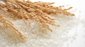 Азербайджан планирует увеличить сбор урожая риса в 2,5 раза