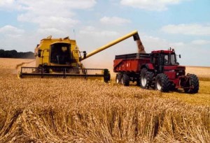 Казахстан в два раза увеличит экспорт зерна в Китай