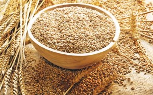 26 июня котировки пшеницы в США и Франции увеличили градус роста еще выше – около 10$ за тонну