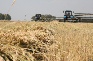 Минсельхоз РФ отмечает рост спроса на зерно на мировом рынке