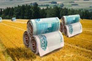 Госдума РФ приняла в первом чтении уточнения к порядку налогообложения сельхозпроизводителей