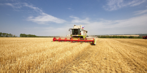 FAO: мировые цены на зерно обвалились до 10-летнего минимума