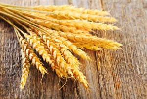 Казахстанская пшеница стала желанной в азиатской части России из-за падения тенге