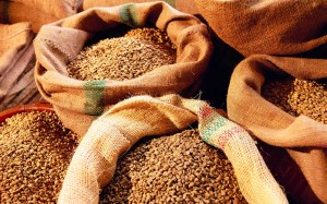 Хакасское зерно пойдет на экспорт