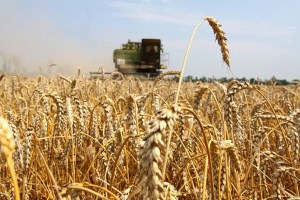 Экспорт российских зерновых почти на четверть выше прошлогоднего
