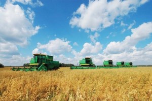 На Ставрополье обмолочено более 2000 га зерновых и зернобобовых