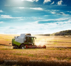 Минсельхоз России: на 22 августа собрано 80 млн тонн зерна