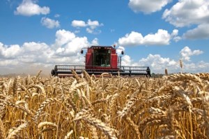 Египет 29 марта закупил на тендере 295 тыс. тонн российской пшеницы и 180 тыс. тонн румынской