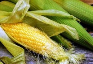 Кукуруза в ценовом ударе