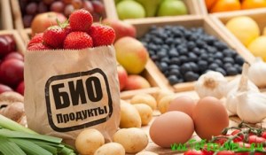 Конкуренция за растущий рынок органической сельхозпродукции ЕС развернется между Россией, Украиной и Казахстаном