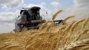 Фермеры Германии хотят пересесть на российские комбайны