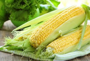 Импорт кукурузы в Китай упадет до 2 млн. т - CNGOIC