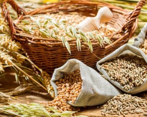 Минсельхоз России: 756 тыс. тонн зерна согласовано к вывозу по льготному железнодорожному тарифу