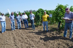 На Ставрополье состоялся семинар по защите виноградников