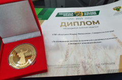 37 медалей привез Ставропольский край