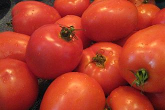 Листовое питание томатов